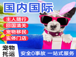 榆林榆阳空运代理国际宠物托运 【国